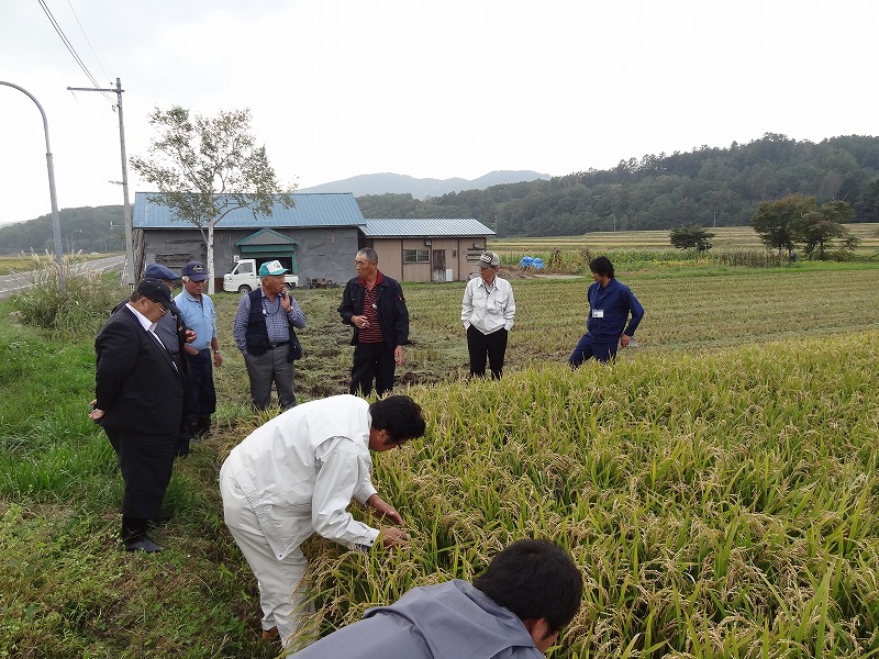 吉川さん圃場.jpg