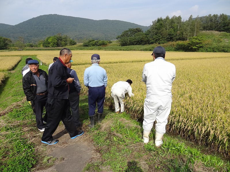 松澤さん圃場.jpg