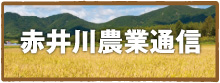赤井川農業通信